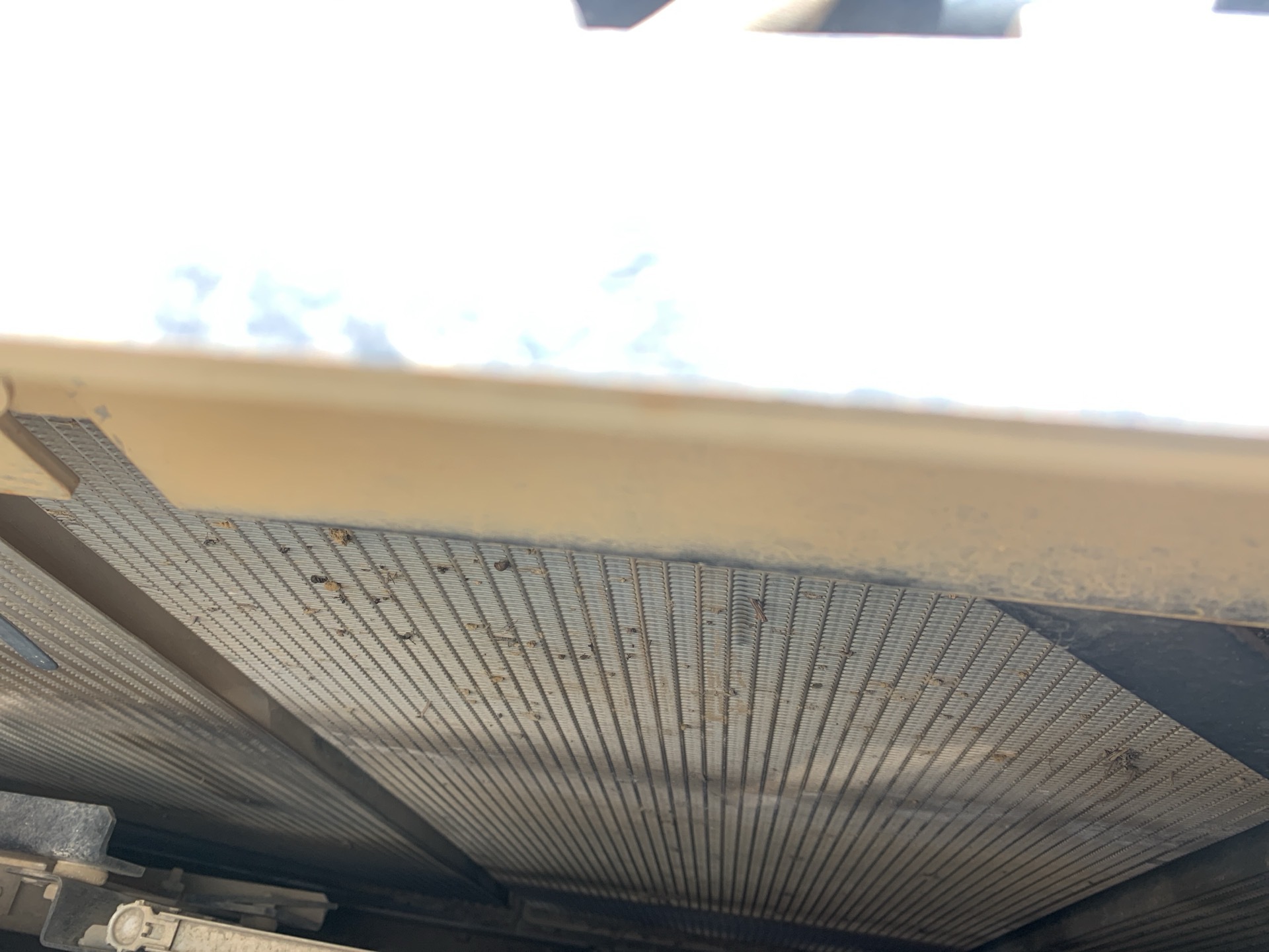 Photo - 43