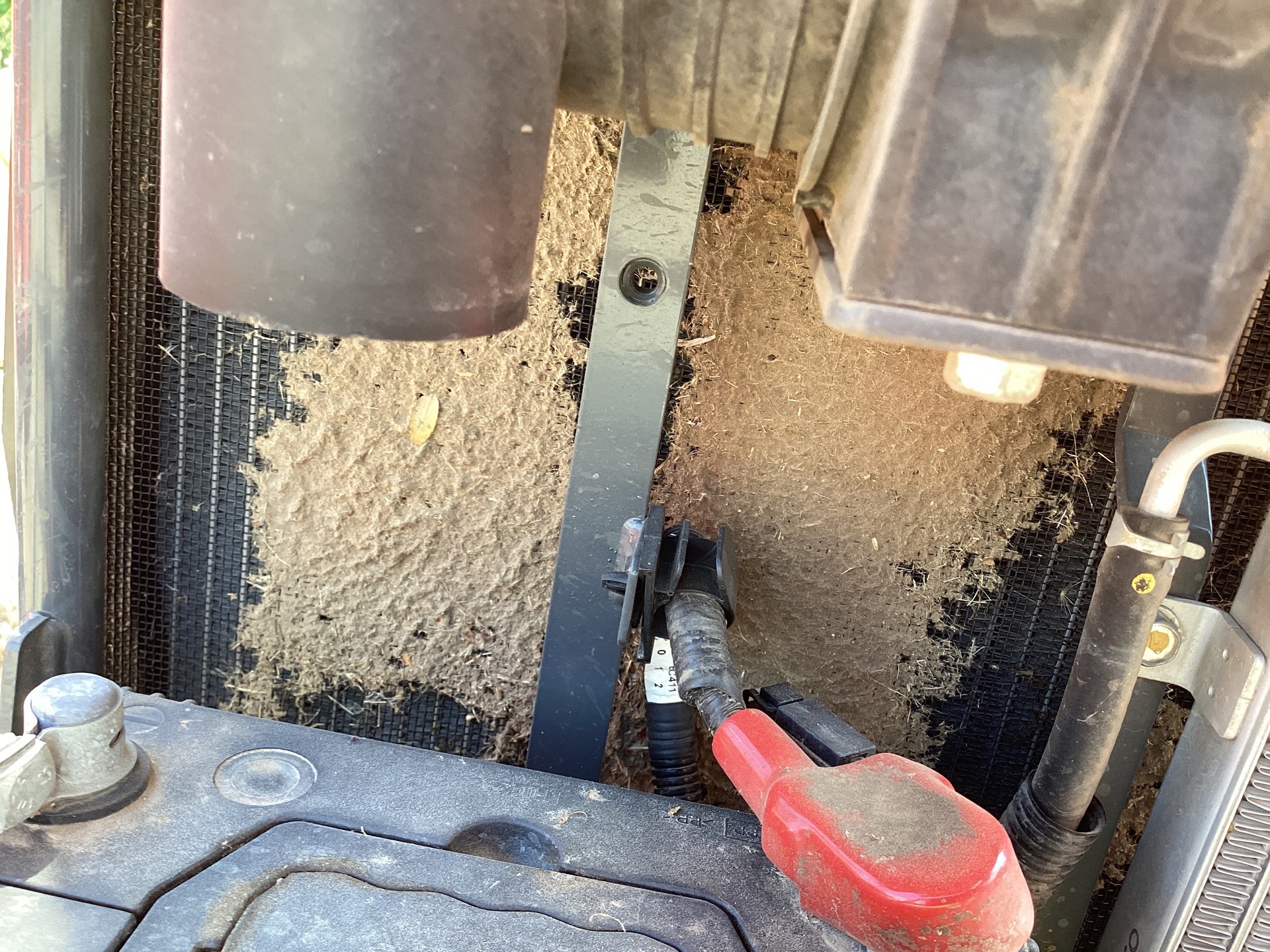 Photo - 19